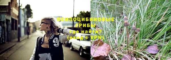 бутират Баксан