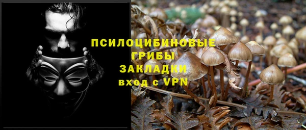бутират Баксан